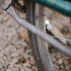 Image for article titled I Bought A $220 Bike To Do A $1,600 Bike's Job And Everything About It Is Making Me Lose My Mind